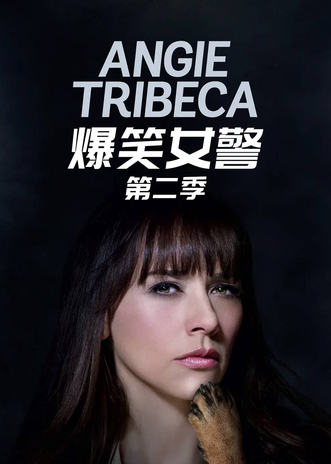 爆笑女警 第二季