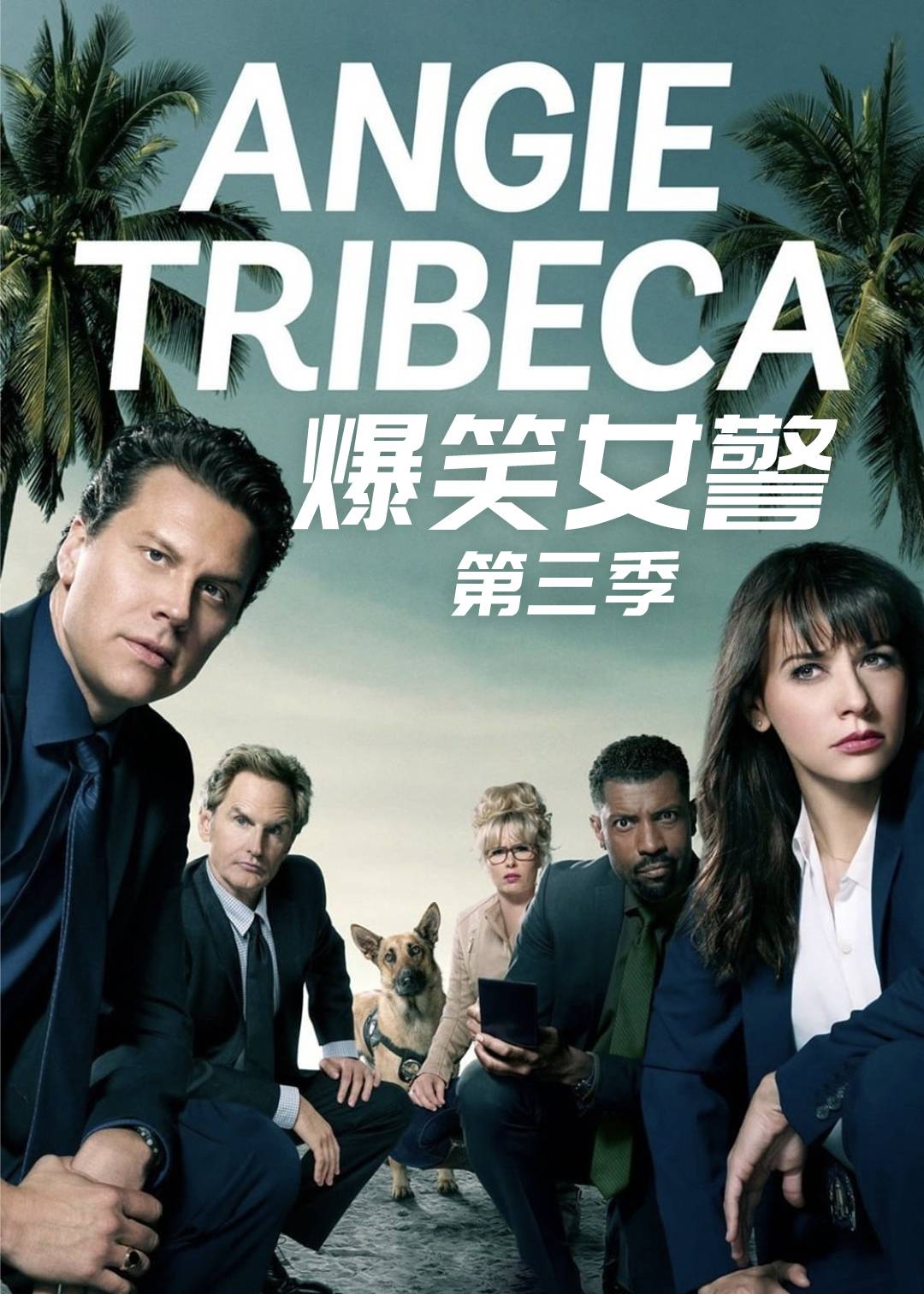 爆笑女警 第三季