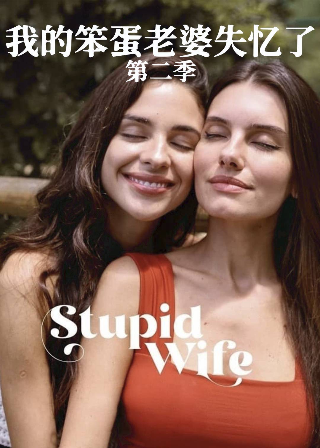 我的笨蛋老婆失忆了 第二季