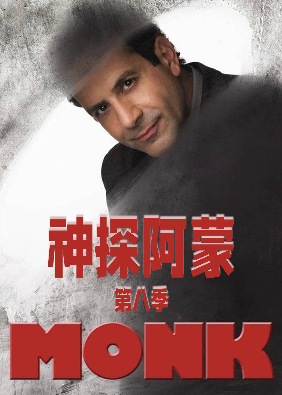 神探阿蒙 第八季